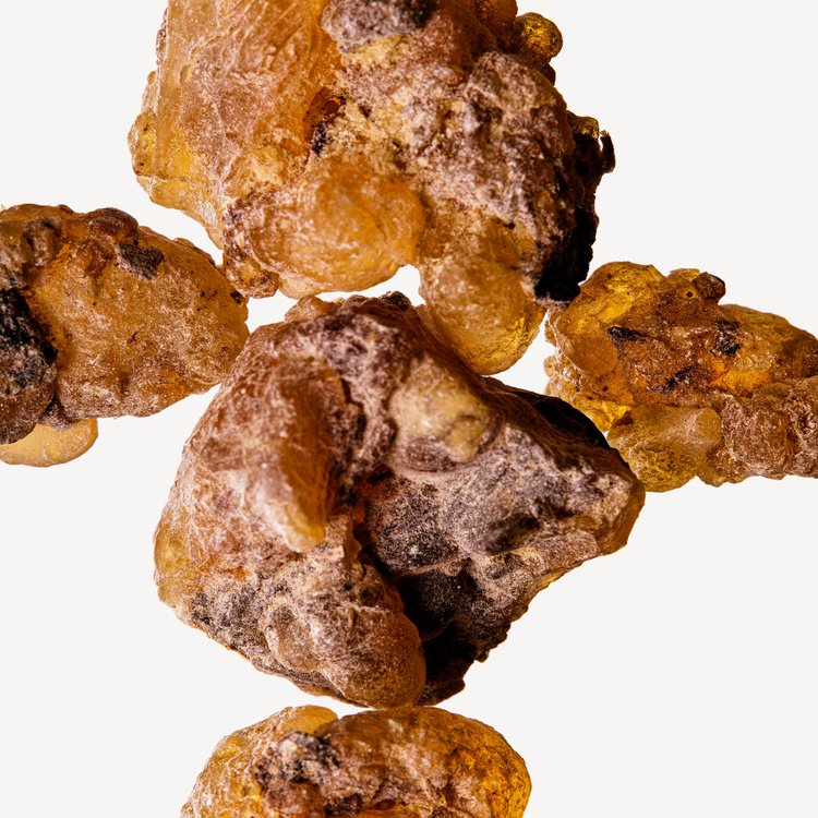 MYRRHE D'ÉRYTHRÉE perfume by Officine Universelle Buly - Wikiparfum