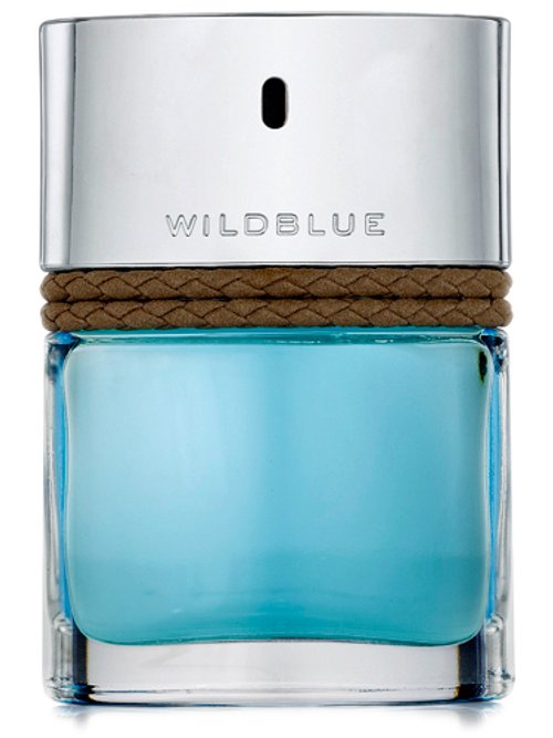 WILDBLUE FOR MEN perfume by Banana Republic – Wikiparfum