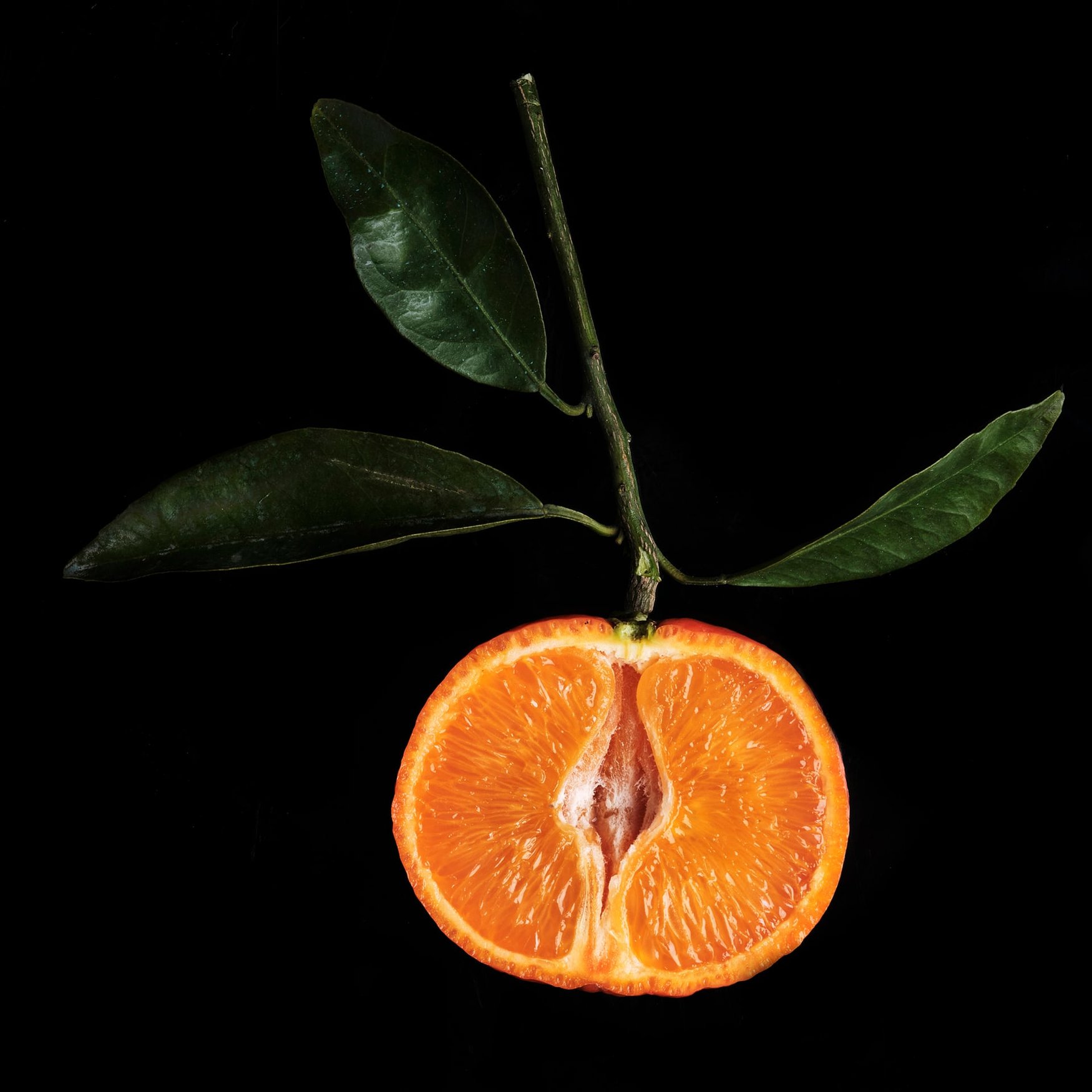 Mandarine