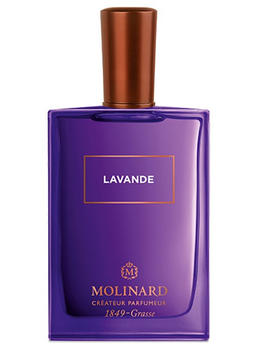 Lavender fragrantica best sale