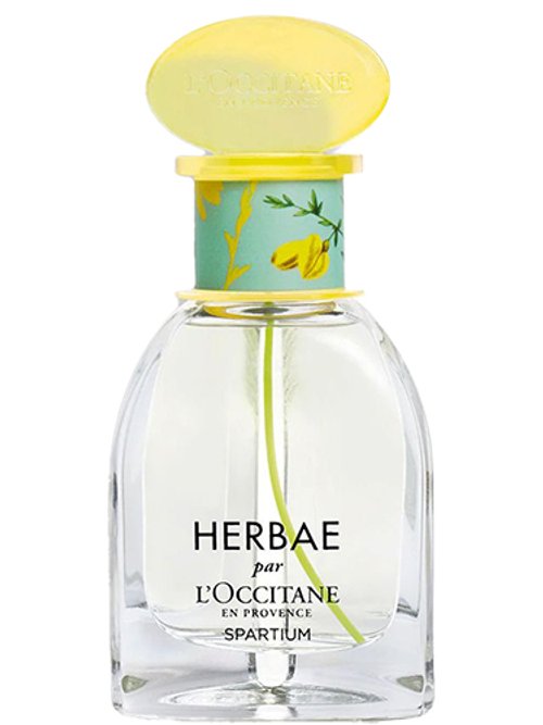 Herbae perfume new arrivals