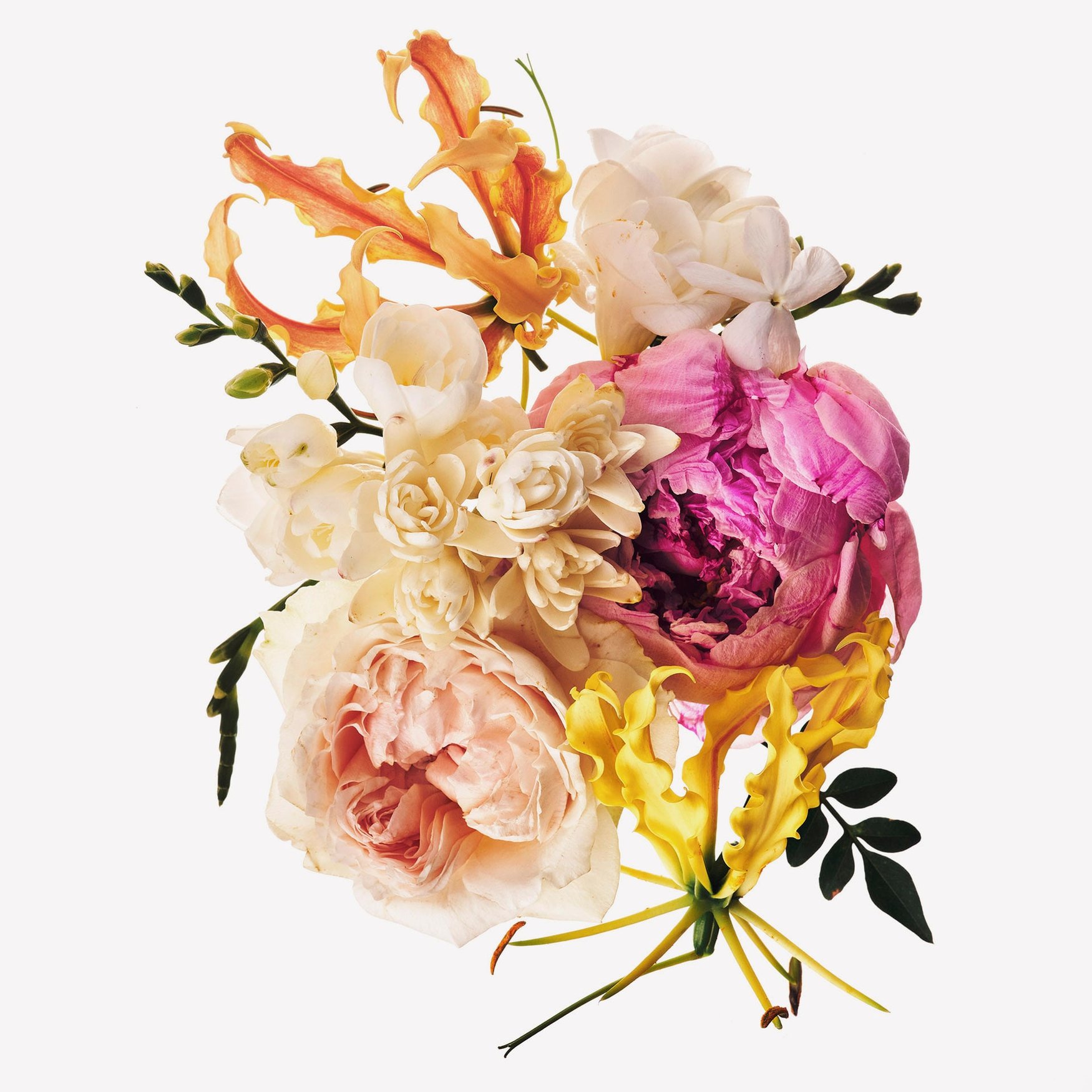 Notes Florales