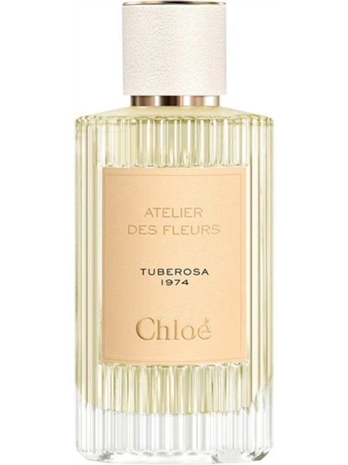 IMMORTELLE perfume by Chloé - Wikiparfum