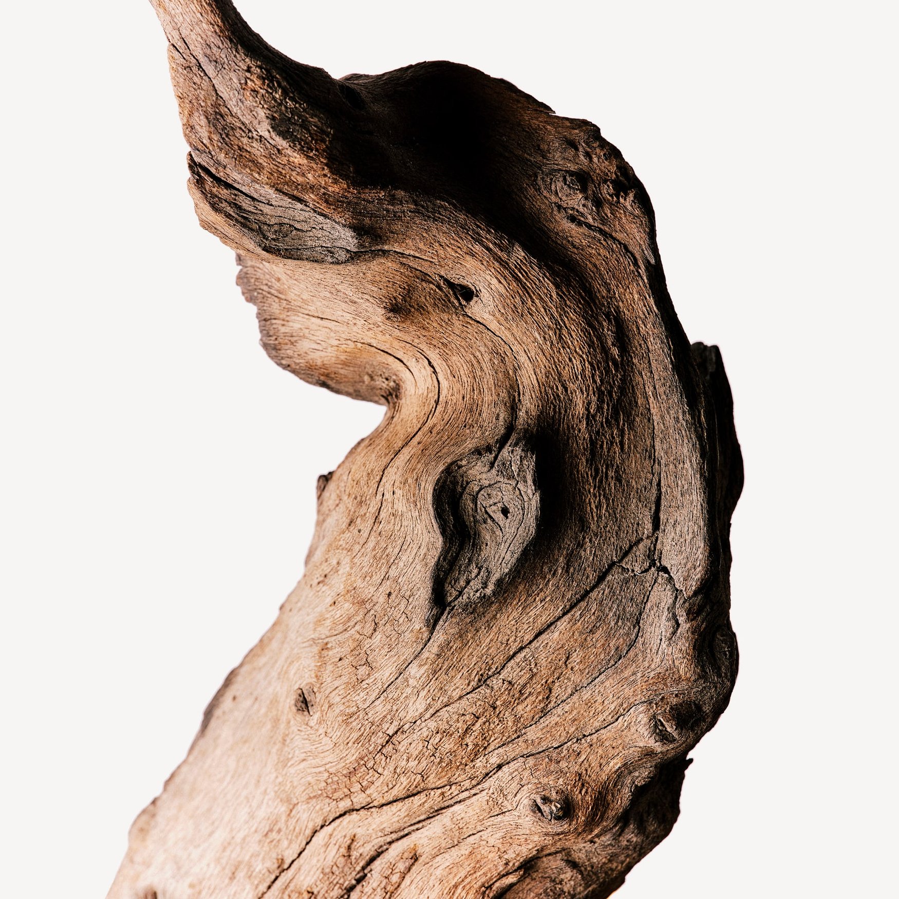 Iso E Super (nota di legno di cedro)