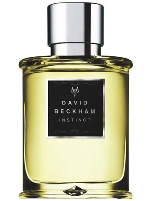 DAVID BECKHAM INSTINCT perfume by David Beckham - Wikiparfum