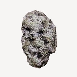 ★dbehd66★LE COVENT AGAPI 50ml Le Couvent Maison De Parfum Agapi - Eau de Parfum | MAKEUP