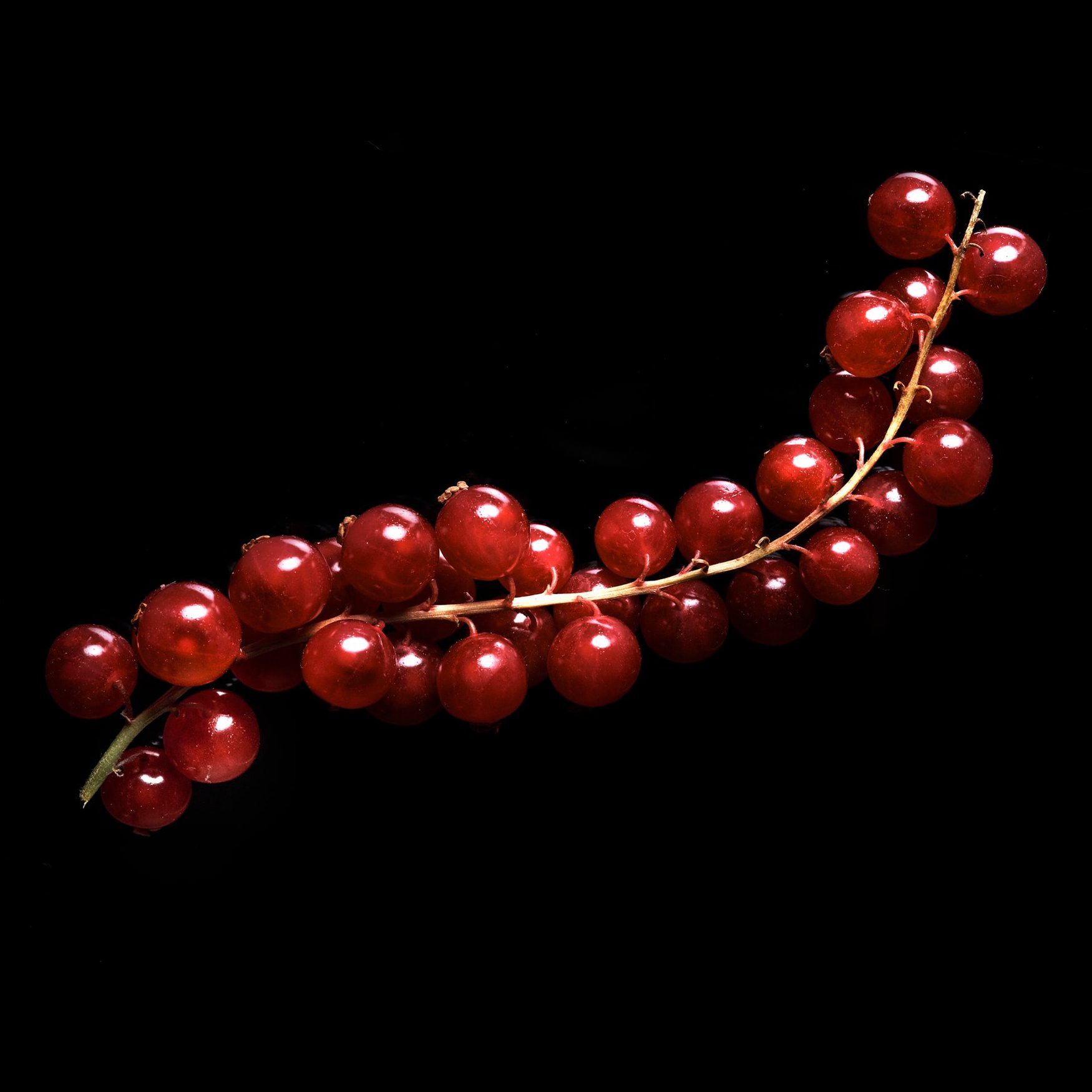 Grosella Vermella
