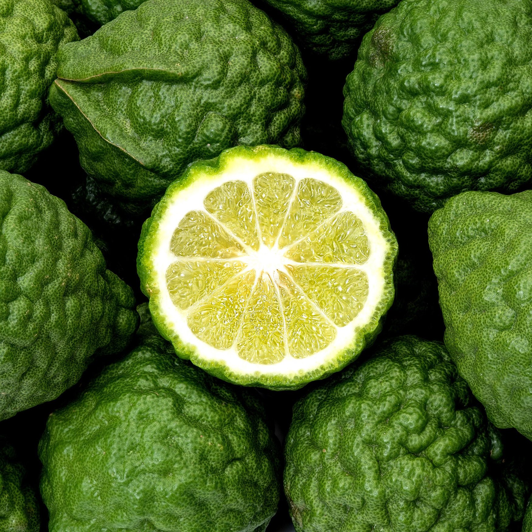 Kaffir Lime (Combava)