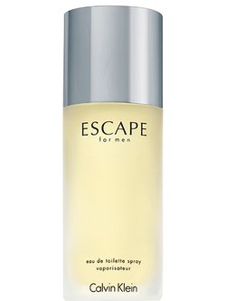 NAUTICA VOYAGE perfume by Nautica – Wikiparfum