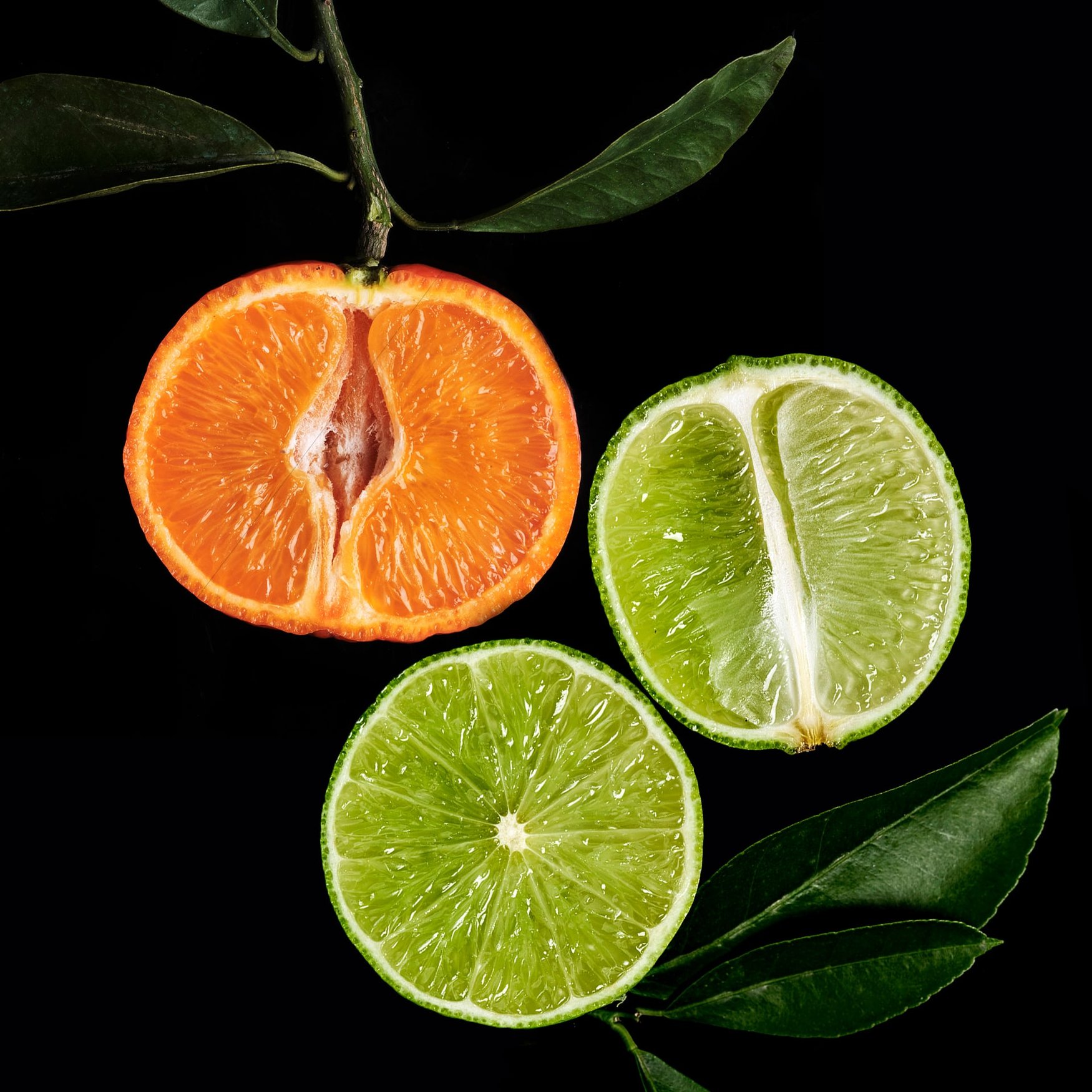 Mandarinen-Limetten-Akkord
