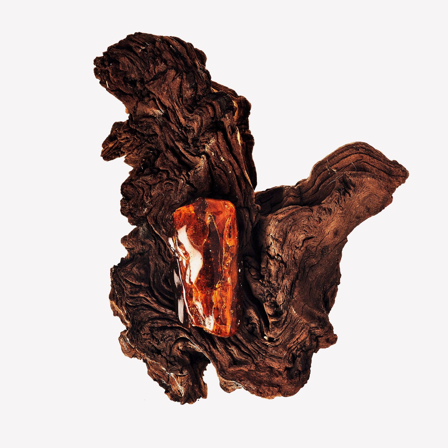 Ambertonic (Woody Ambery)