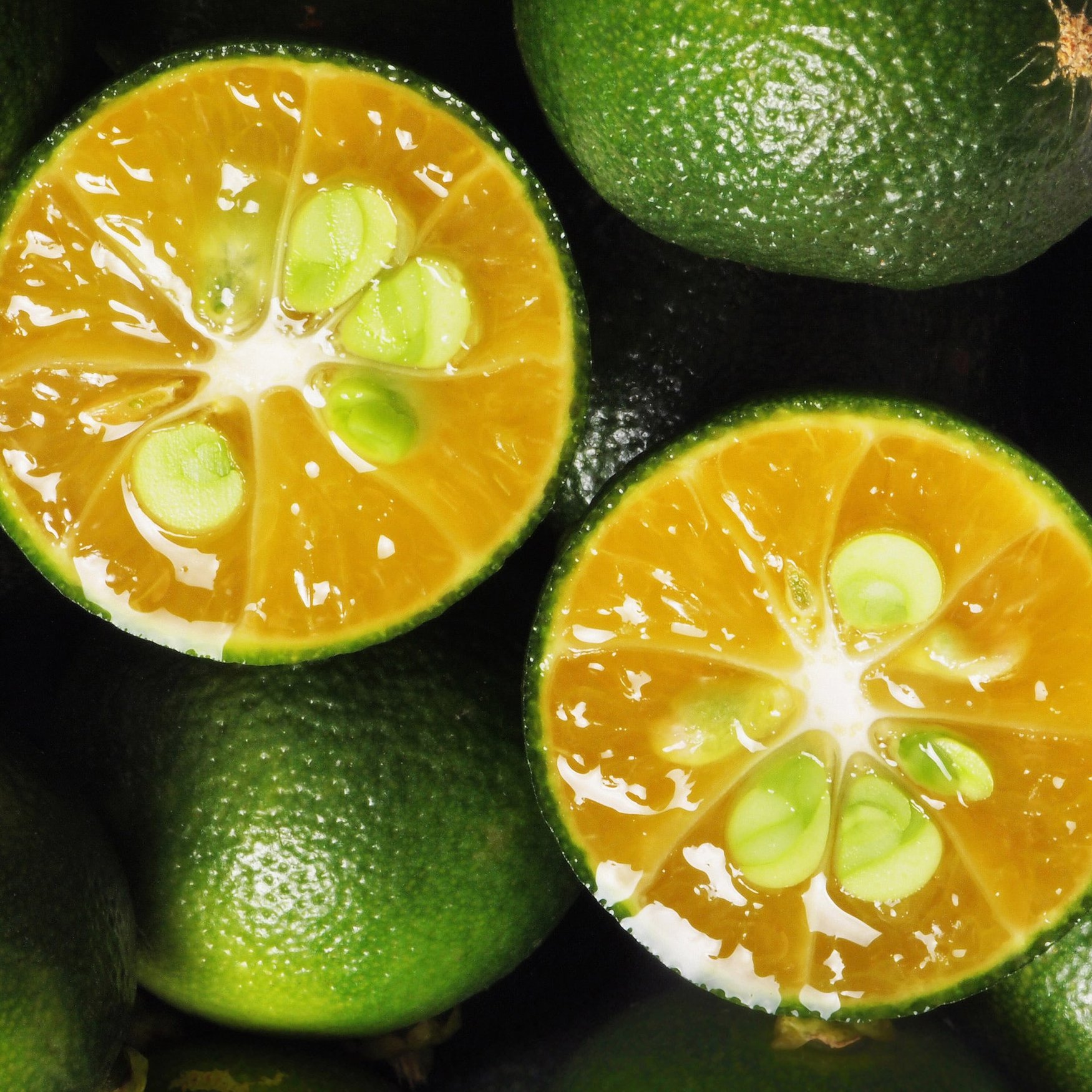 Taronja Calamondina