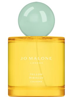 POLO SPORT FRESH perfume by Ralph Lauren – Wikiparfum