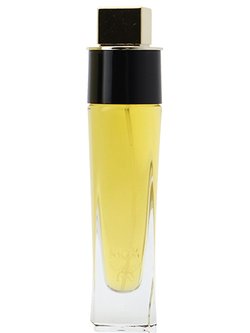 Perfume Hub - 🎀 Cashmere glow 🎀 Wild Madagascar Vanilla
