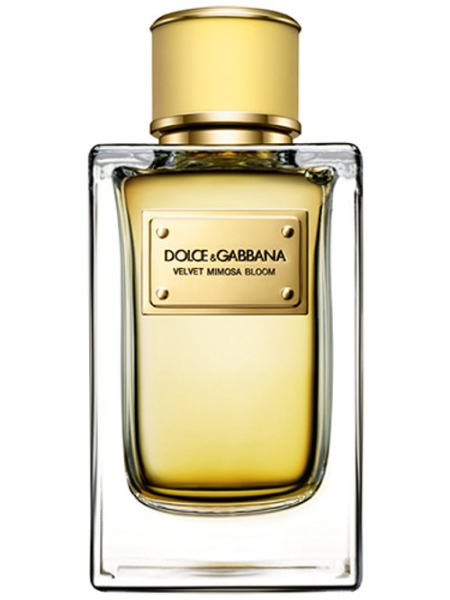 VELVET DESIRE香水由Dolce & Gabbana制作- Wikiparfum