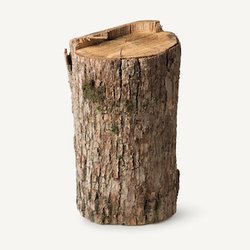 Cipresso giapponese/Hinoki