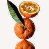 Naranja amarga