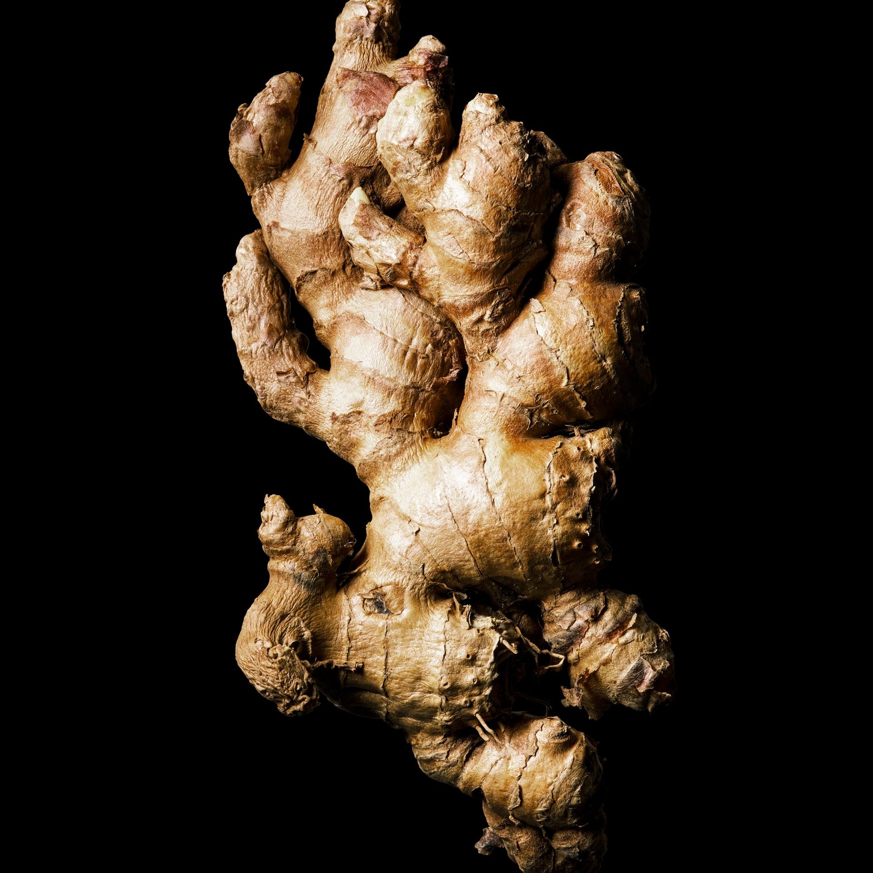 Ginger