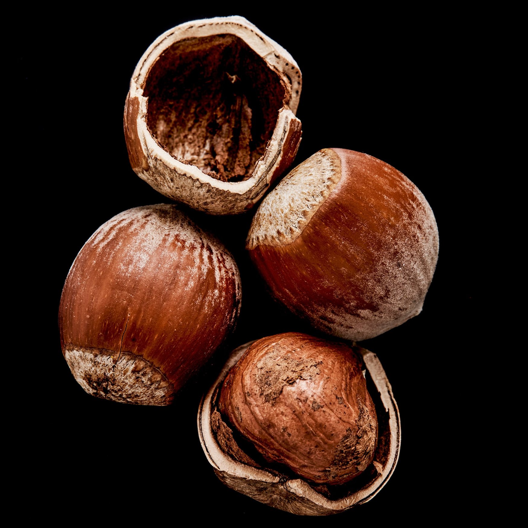 Noisette