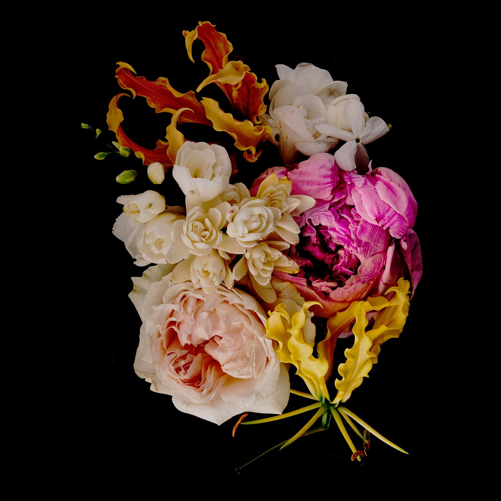 Notes Florales