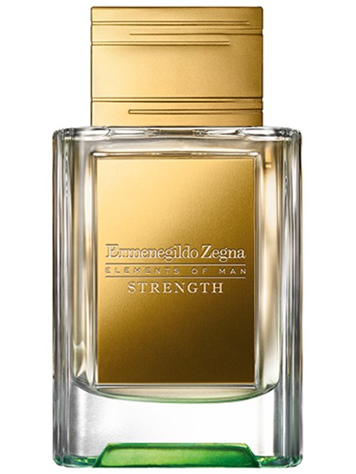 Perfume ermenegildo zegna fashion hombre