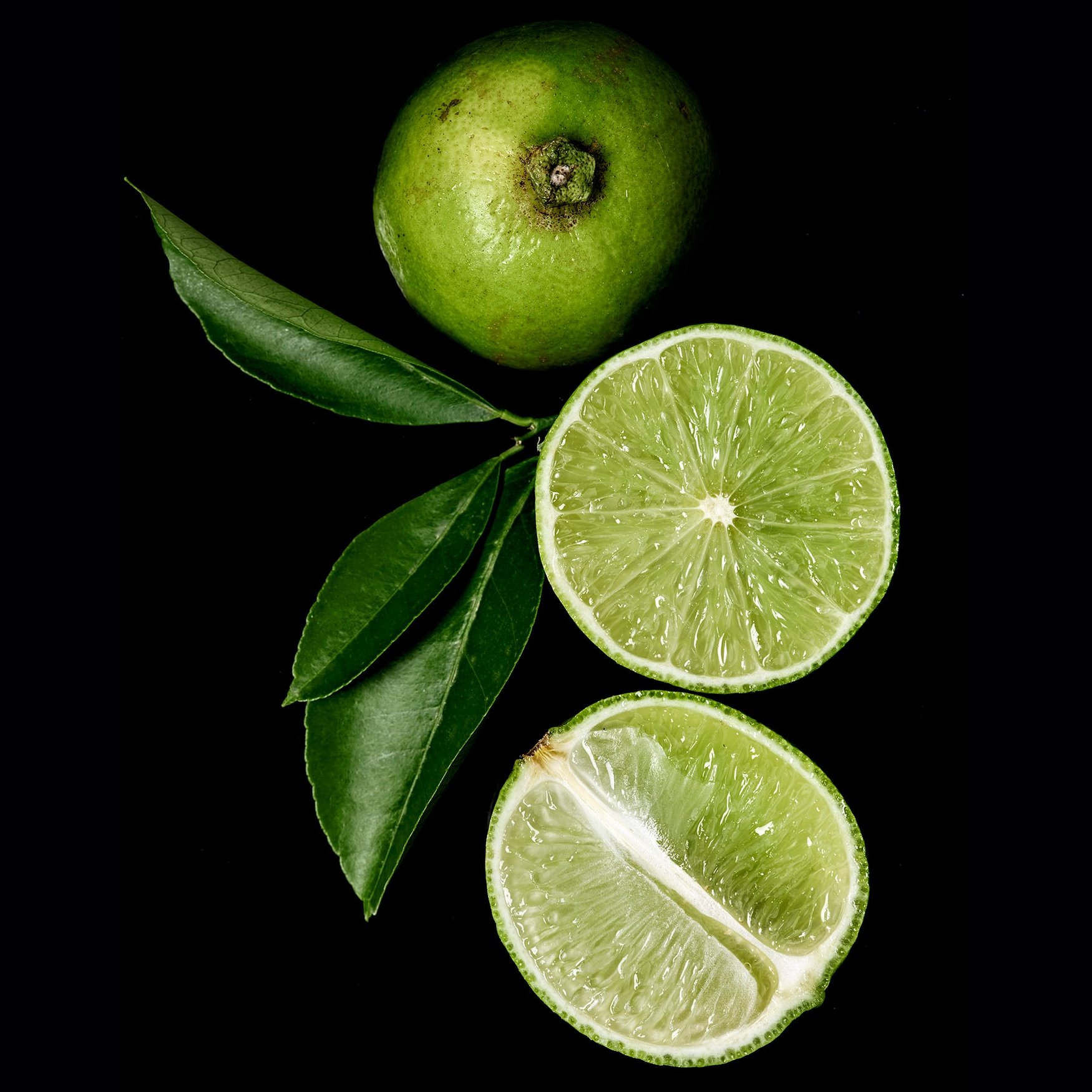 Limette
