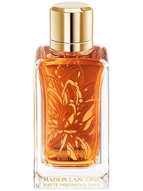 メゾンランコム　TUBEREUSES CASTANE香水 TUBÉREUSES CASTANE perfume by Lancôme - Wikiparfum