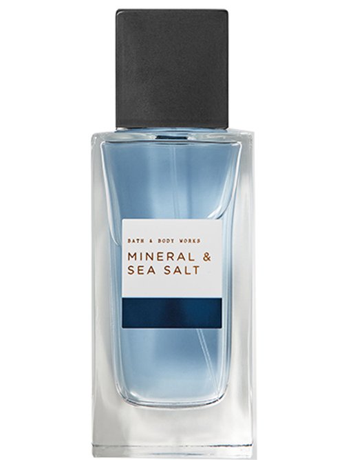 Mens Bath And body deals works mineral and sea salt cologne set