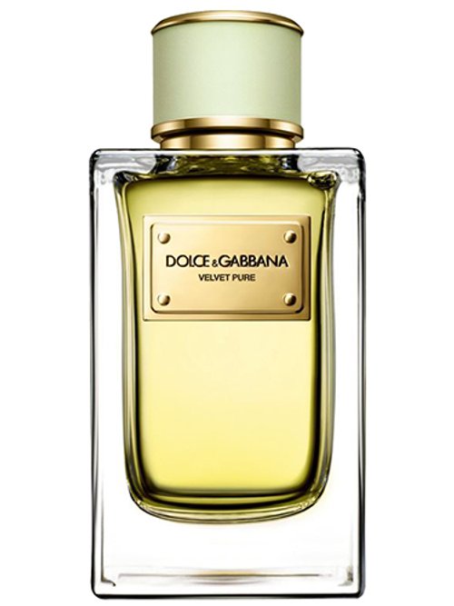 Dolce gabbana jasmine perfume best sale