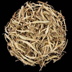 Té blanco