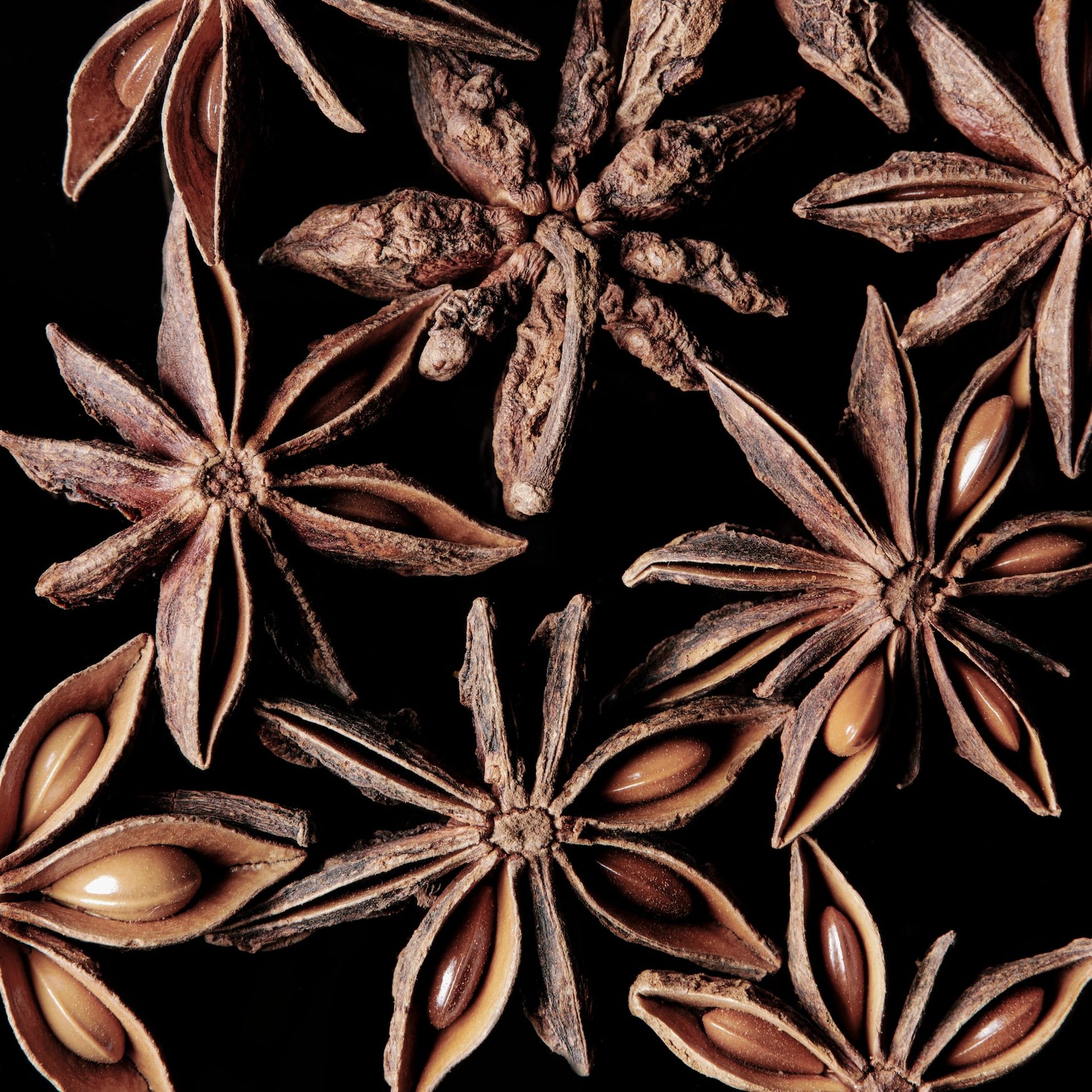 Star Anise