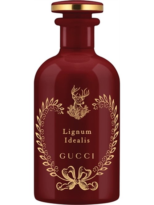 GUCCI ENVY FOR MEN香水由Gucci制作- Wikiparfum