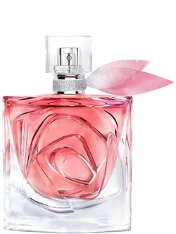 INTIMATE & SEXY perfume by Don Algodón – Wikiparfum