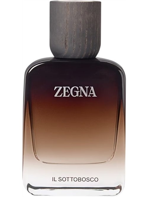 ZZEGNA CLASSICO perfume by Ermenegildo Zegna - Wikiparfum