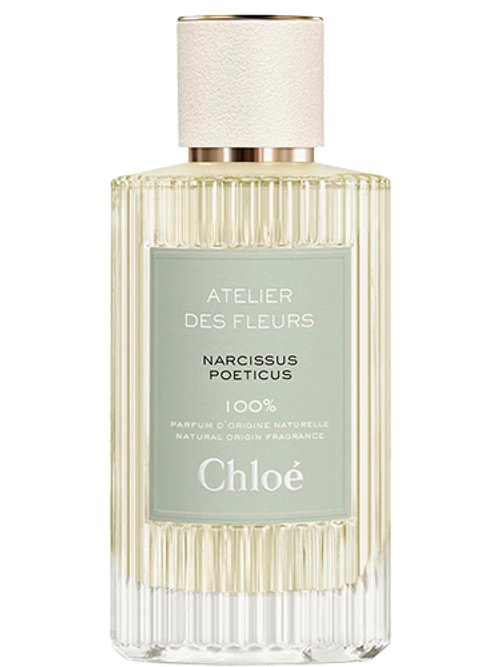 VIOLETTE perfume by Chloé - Wikiparfum