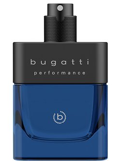 RICH MAN perfume by Paris Bleu – Wikiparfum