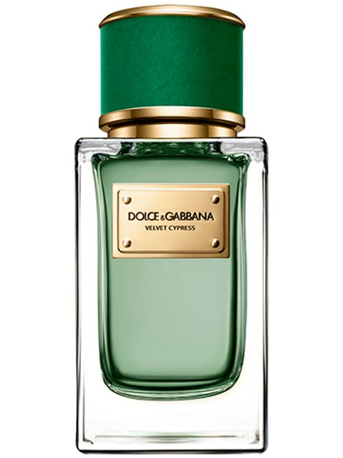 VELVET VETIVER perfume by Dolce & Gabbana - Wikiparfum