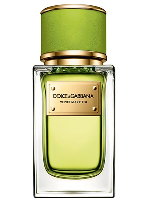 Dolce & gabbana velvet hotsell bergamot eau de parfum