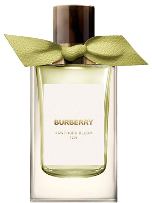 HIGH TEA perfume by Burberry - Wikiparfum