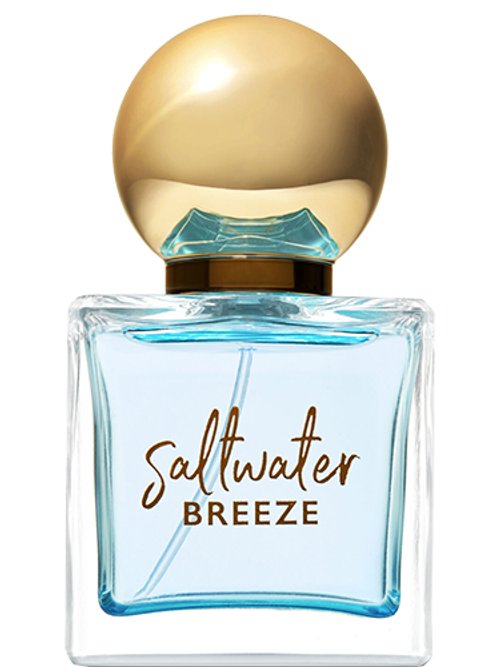 Bath and Body Works popular Saltwater Breeze