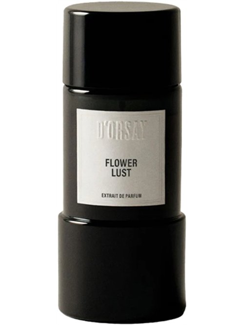 Rose Blaze Extrait de Parfum | Unisex Floral Fragrance – Maison D