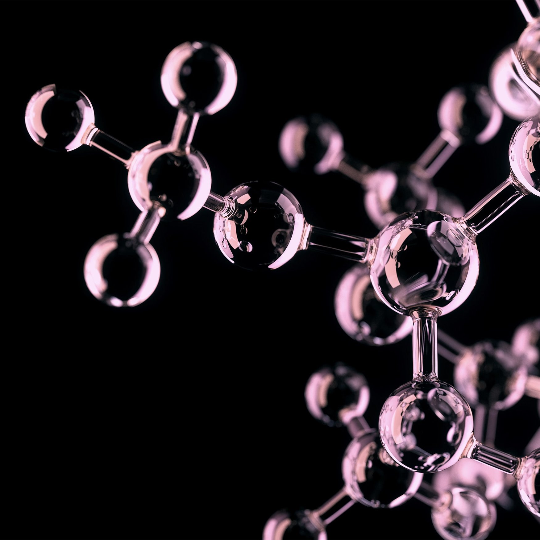 分子（粉色）