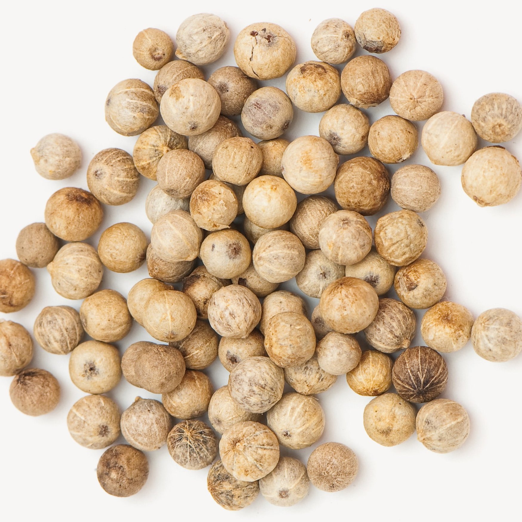 White Pepper