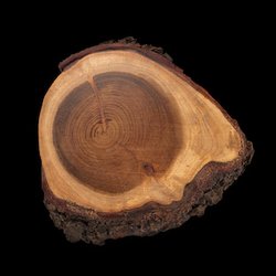 Teak Wood