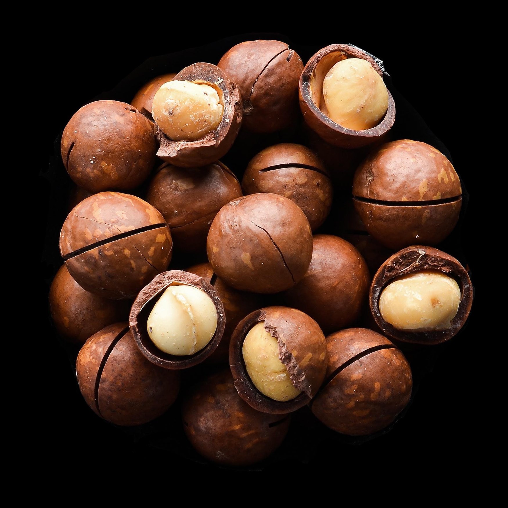 Macadamia