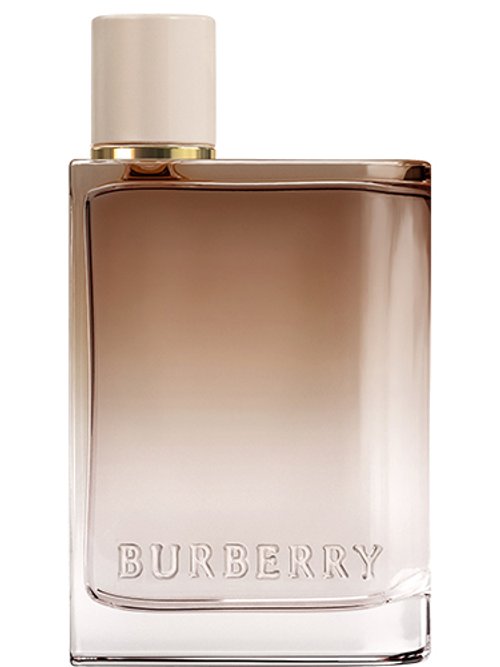 Burberry 2025 brown perfume